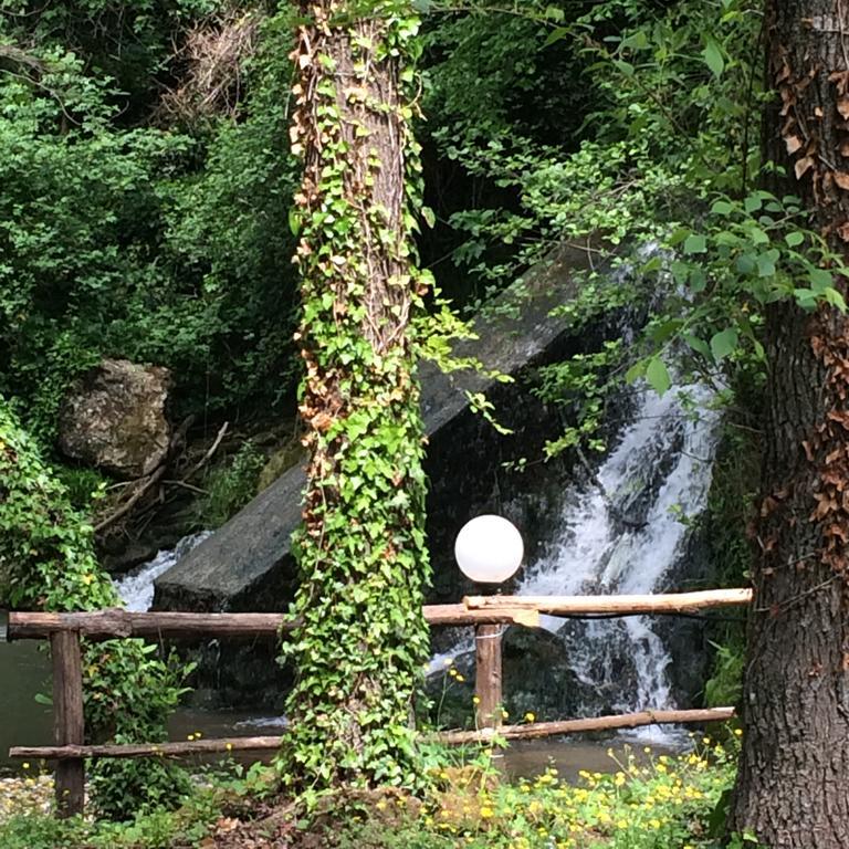 Tenuta Di Vico Moricino Anagni Kültér fotó